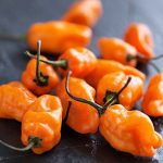 Dehydrating Habanero Peppers – All You Need to Know